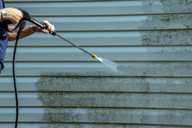Best Graffiti Removal  in Gateway, AK